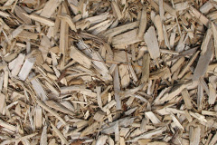 biomass boilers Waddicar